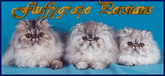 FluffyGrape